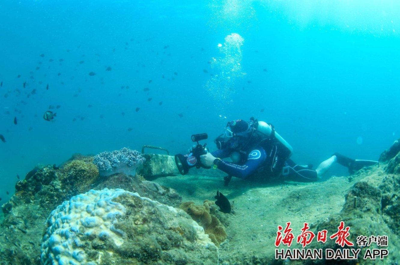 2024台州纸包装行业 发展之路怎么走？