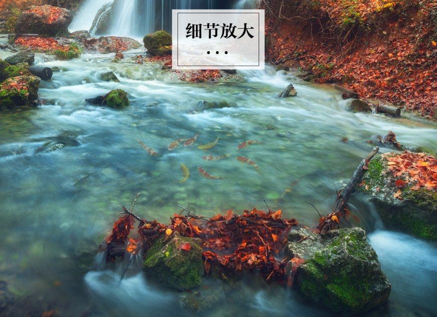 如何做西红柿炒鸡蛋
