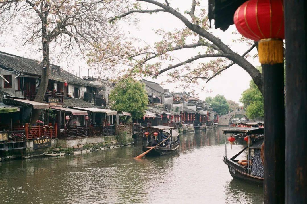 “南橘北莓”背后:“出圈”的特色鲜果兴业助农